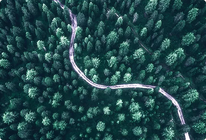 Desarrollo sostenible Desarrollo sostenible