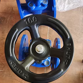 válvula de compuerta