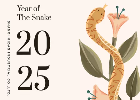 ¡¡ feliz año nuevo 2025!